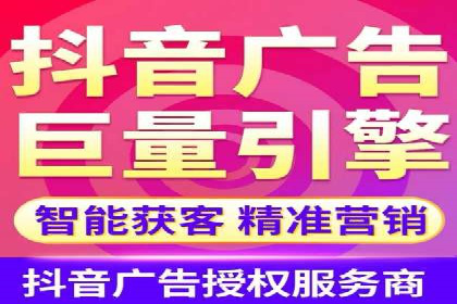 竞价广告投放技巧与案例分析