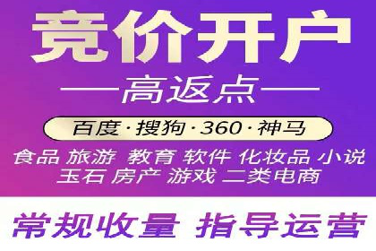 竞价托管成功案例：提升广告投放效果